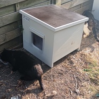 photo de livraison pour L’École du Chat de Saint-Denis Langevin