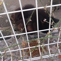 photo de livraison pour L'Ecole du Chat Istreen