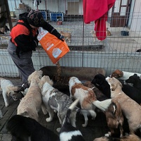 photo de livraison pour Associtia Axi Hope Romania