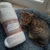 photo de livraison pour Les Chats'nonymes