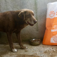 photo de livraison pour Speranta Pentru Animale