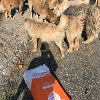 photo de livraison pour Anca Timpeanu