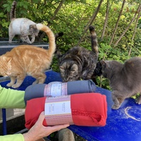 photo de livraison pour Les Chats Perchés de Mirmande