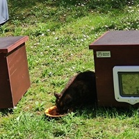 photo de livraison pour SOS Chats Libres Haut-Béarn