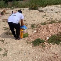 photo de livraison pour L'Arche de Noé