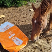 photo de livraison pour La Retraite des Chevaux des Causses