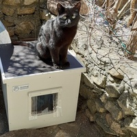 photo de livraison pour Les Chats Perchés de Mirmande
