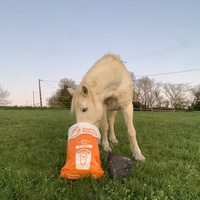 photo de livraison pour Les Crinières de Salherm