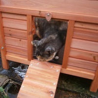 photo de livraison pour Amis de Myrtille