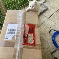 photo de livraison pour SADF (Sauvetage des animaux domestiques de France)