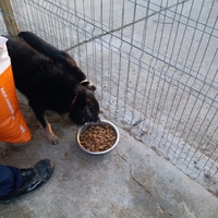 photo de livraison pour Asociația Hăpluț și prietenii