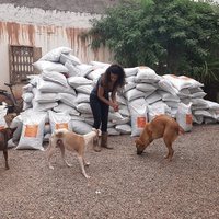 photo de livraison pour Help Adopt Moroccan Animals