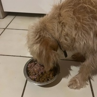 photo de livraison pour Refuge du Poil à la Plume