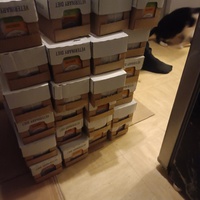 photo de livraison pour Protect Cat