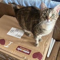 photo de livraison pour Association C.A.T.S. Chat Animal Terrien Solidarité