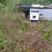 photo de livraison pour CAPPA