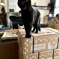 photo de livraison pour Association C.A.T.S. Chat Animal Terrien Solidarité