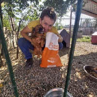 photo de livraison pour Innocente
