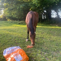 photo de livraison pour Espoir au Galop