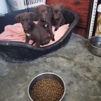 photo de livraison pour Huellas del Valle con Esperanza