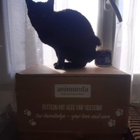 photo de livraison pour Les Chats de la Tour