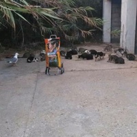 photo de livraison pour ADAN Essaouira