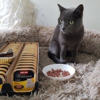 photo de livraison pour La Vraie Magie des Chats