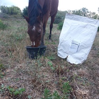 photo de livraison pour Happy Horse Day