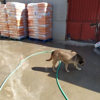 photo de livraison pour ASPA Asociaciòn Socuellamina para la Protecciòn Animal