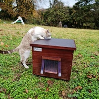 photo de livraison pour Les Coups Fourrés - ACF