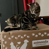 photo de livraison pour Association C.A.T.S. Chat Animal Terrien Solidarité