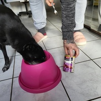 photo de livraison pour AVRAH