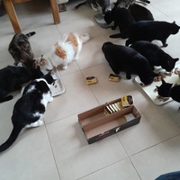photo de livraison pour Les Amis de Michouette