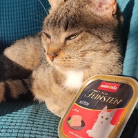 photo de livraison pour Hope14