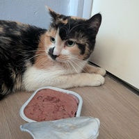 photo de livraison pour Sweety Pets