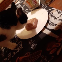 photo de livraison pour Cha'alors