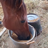 photo de livraison pour Equi-Libre : Droit à la Retraite Equine