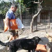 photo de livraison pour Europe4strays