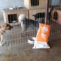 photo de livraison pour Sammelstelle für Tiere in Not e.V.