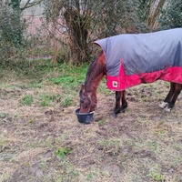 photo de livraison pour HELP