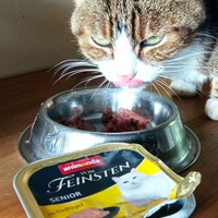 photo de livraison pour Ecole du Chat Libre de Caillerot