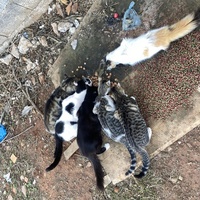 photo de livraison pour Kawthar Maree