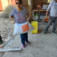 photo de livraison pour 4 Pattes Mogador