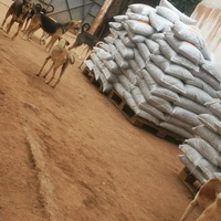 photo de livraison pour Help Adopt Moroccan Animals