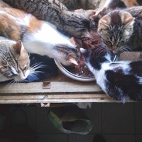 photo de livraison pour L'Esperanza