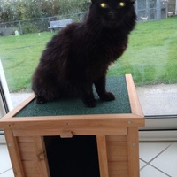 photo de livraison pour Association AmiCat