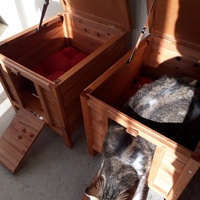 photo de livraison pour Les Aristocats
