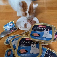 photo de livraison pour Jardin des Chats