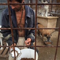 photo de livraison pour Save & Hope for Dogs