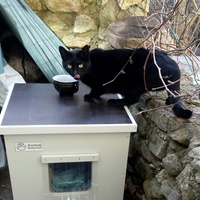 photo de livraison pour Les Chats Perchés de Mirmande